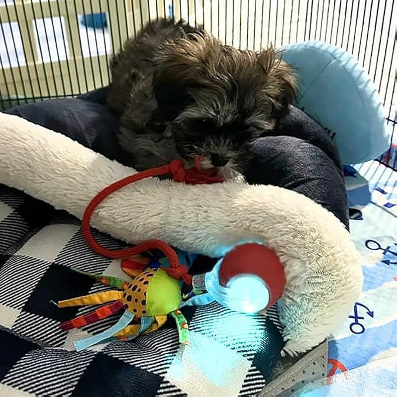 🔥🐱🐶Intelligens, automata gördülő kisállatlabda